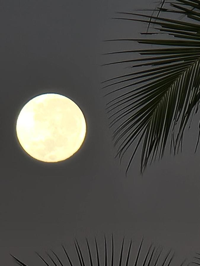Swisscocobeach นูซีเบ ภายนอก รูปภาพ